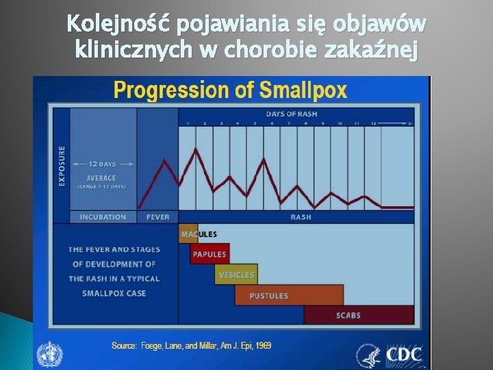 Kolejność pojawiania się objawów klinicznych w chorobie zakaźnej 