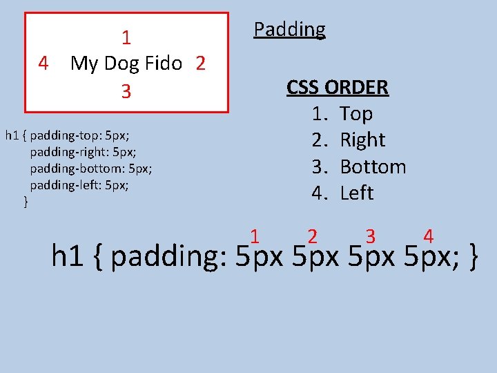 1 4 My Dog Fido 2 3 Padding CSS ORDER 1. Top 2. Right