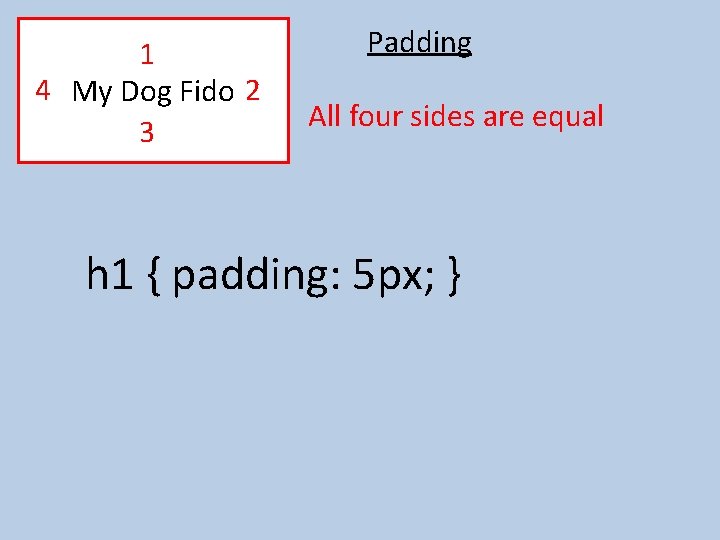 1 4 My Dog Fido 2 3 Padding All four sides are equal h