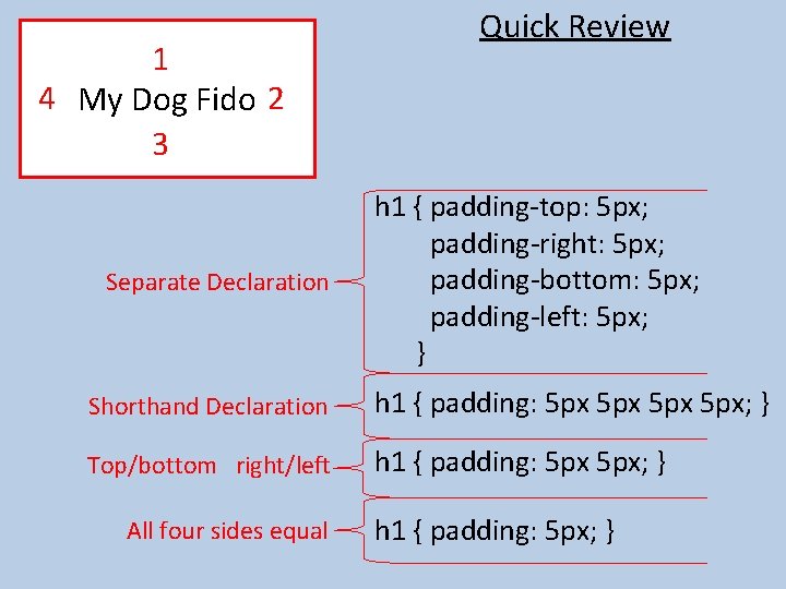 1 4 My Dog Fido 2 3 Separate Declaration Quick Review h 1 {