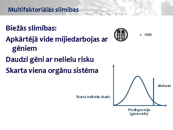 Multifaktoriālās slimības Biežās slimības: Apkārtējā vide mijiedarbojas ar gēniem Daudzi gēni ar nelielu risku