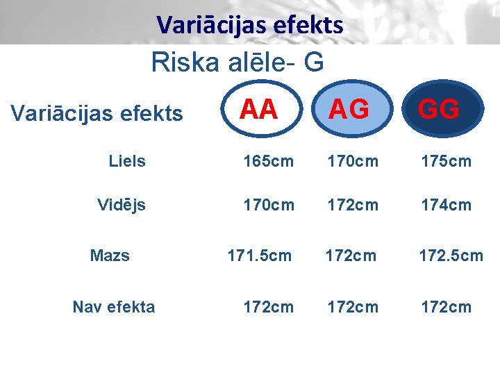 Variācijas efekts Riska alēle- G AA AG GG Liels 165 cm 170 cm 175