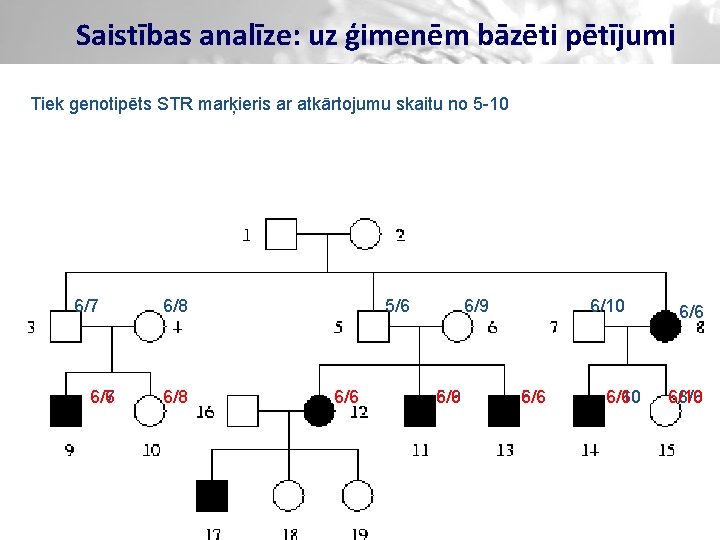 Saistības analīze: uz ģimenēm bāzēti pētījumi Tiek genotipēts STR marķieris ar atkārtojumu skaitu no