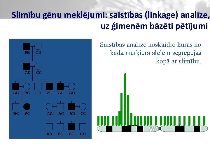 Slimību gēnu meklējumi: saistības (linkage) analīze, uz ģimenēm bāzēti pētījumi Saistības analīze noskaidro kuras