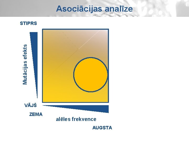 Asociācijas analīze Mutācijas efekts STIPRS VĀJŠ ZEMA alēles frekvence AUGSTA 