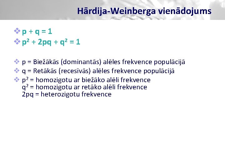 Hārdija-Weinberga vienādojums vp + q = 1 v p 2 + 2 pq +