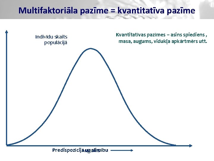 Multifaktoriāla pazīme = kvantitatīva pazīme Indivīdu skaits populācijā Predispozīcija uz slimību Augums Kvantitatīvas pazīmes