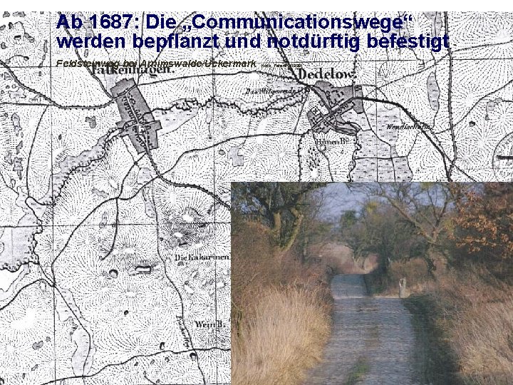 Ab 1687: Die „Communicationswege“ werden bepflanzt und notdürftig befestigt Feldsteinweg bei Arnimswalde/Uckermark (foto: Peters