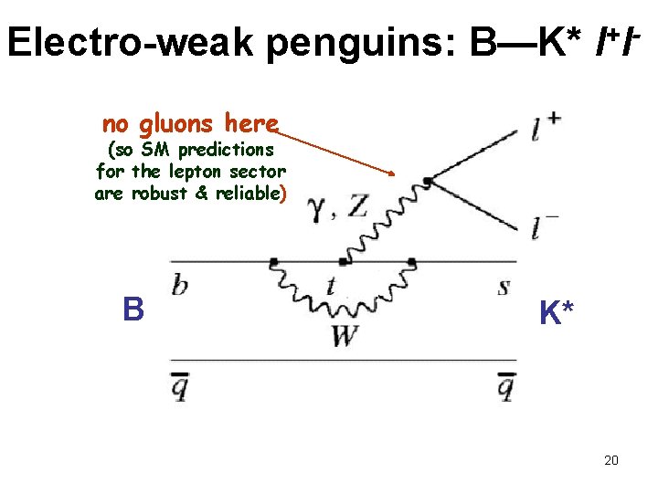 Electro-weak penguins: B—K* l+lno gluons here (so SM predictions for the lepton sector are