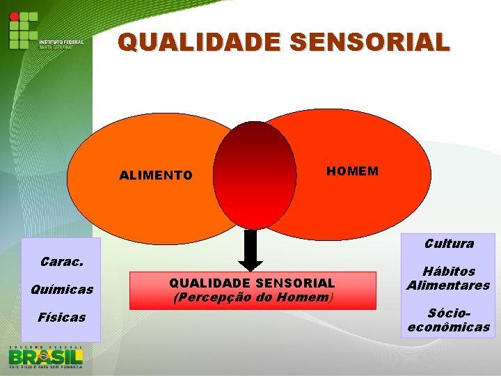 QUALIDADE SENSORIAL ALIMENTO HOMEM Cultura Carac. Químicas Físicas QUALIDADE SENSORIAL (Percepção do Homem) Hábitos