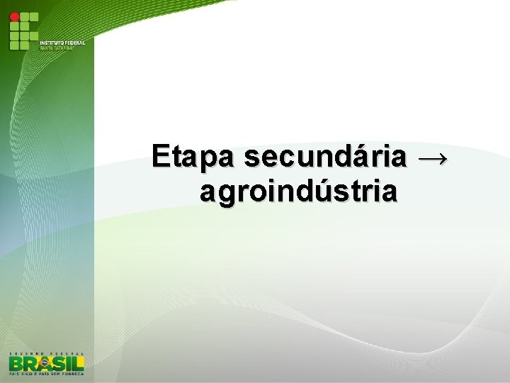 Etapa secundária → agroindústria 