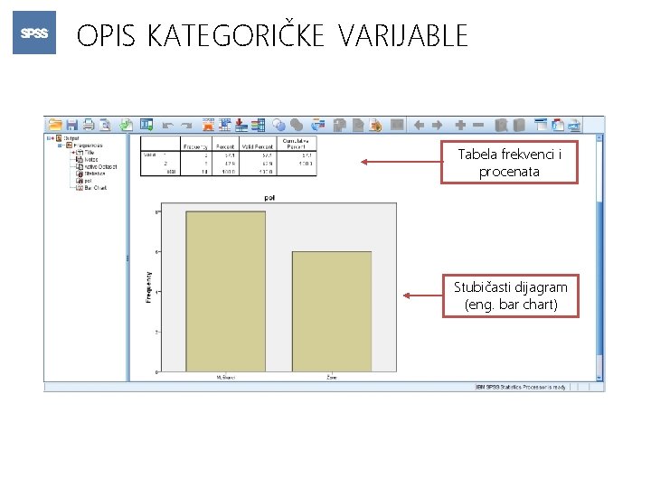 OPIS KATEGORIČKE VARIJABLE Tabela frekvenci i procenata Stubičasti dijagram (eng. bar chart) 