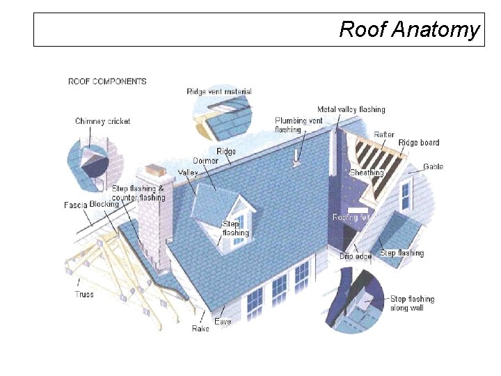 Roof Anatomy 