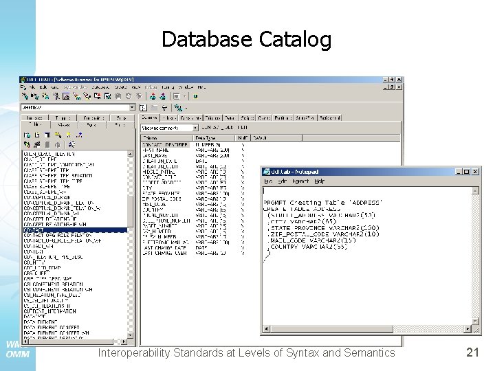 Database Catalog Interoperability Standards at Levels of Syntax and Semantics 21 