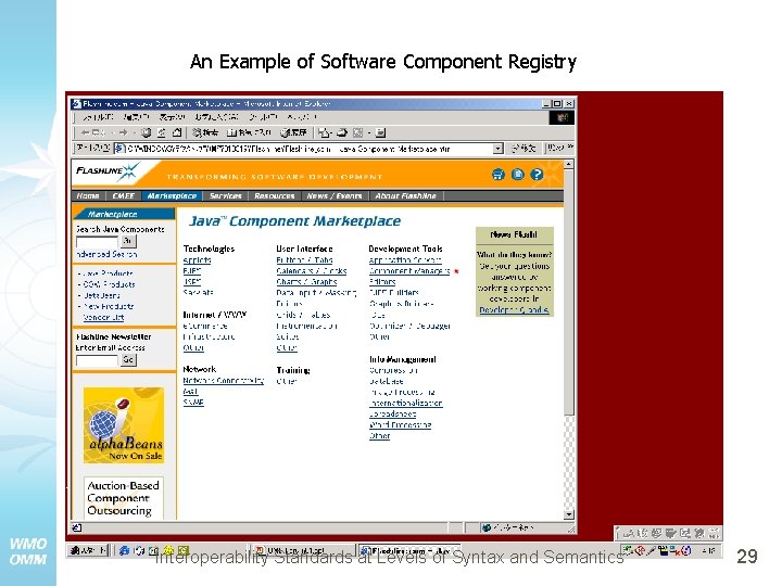  An Example of Software Component Registry Interoperability Standards at Levels of Syntax and