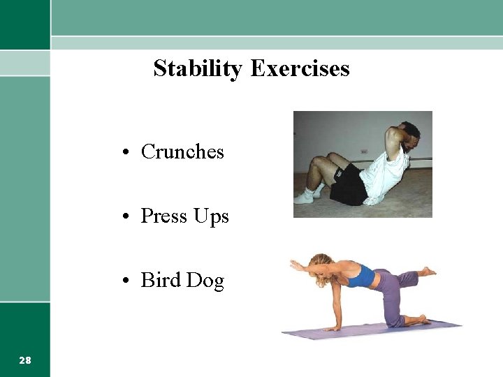 Stability Exercises • Crunches • Press Ups • Bird Dog 28 