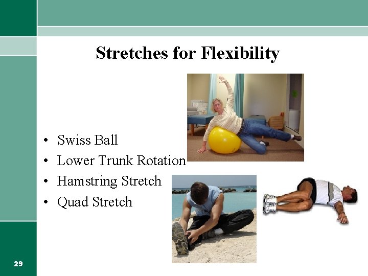 Stretches for Flexibility • • 29 Swiss Ball Lower Trunk Rotation Hamstring Stretch Quad