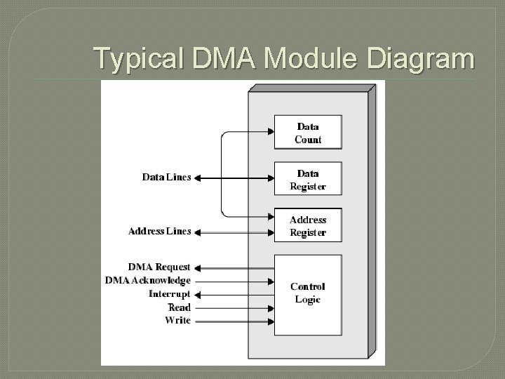 Typical DMA Module Diagram 