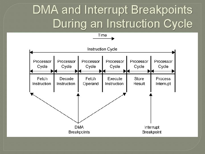 DMA and Interrupt Breakpoints During an Instruction Cycle 