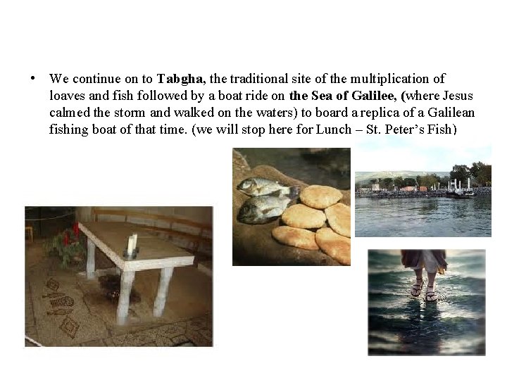  • We continue on to Tabgha, the traditional site of the multiplication of
