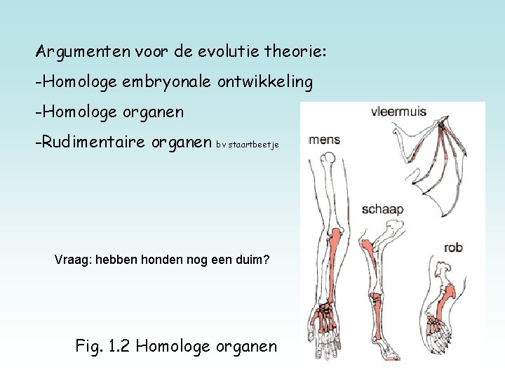 Anatomie Bouw van het lichaam FYSIOLOGIE bv kwijlende