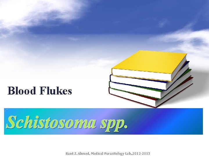 Blood Flukes Schistosoma spp. Raed Z. Ahmed, Medical Parasitology Lab. , 2012 -2013 