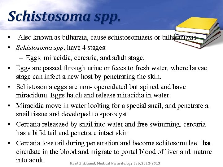 Schistosoma spp. • Also known as bilharzia, cause schistosomiasis or bilhariziasis. • Schistosoma spp.