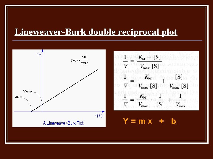 Lineweaver-Burk double reciprocal plot Y=mx + b 