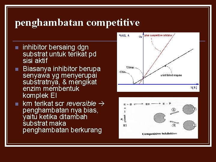 penghambatan competitive n n n inhibitor bersaing dgn substrat untuk terikat pd sisi aktif