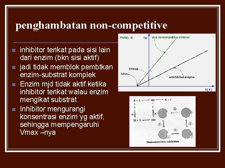 penghambatan non-competitive n n inhibitor terikat pada sisi lain dari enzim (bkn sisi aktif)
