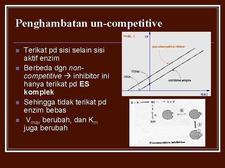 Penghambatan un-competitive n n Terikat pd sisi selain sisi aktif enzim Berbeda dgn noncompetitive