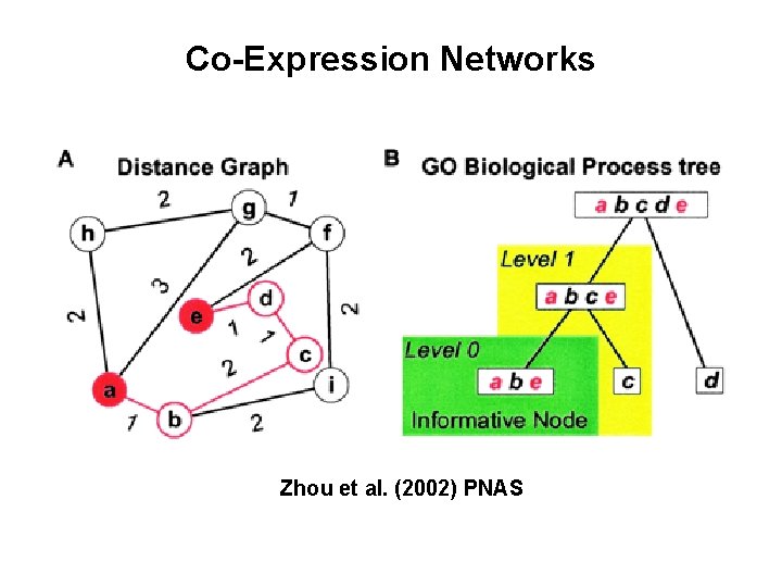 Co-Expression Networks Zhou et al. (2002) PNAS 