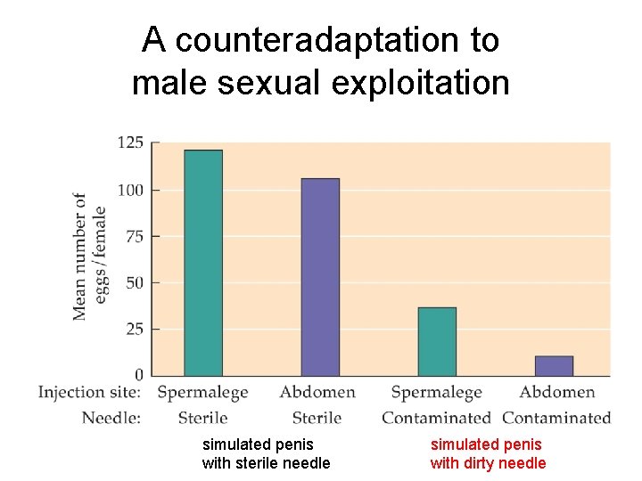 A counteradaptation to male sexual exploitation simulated penis with sterile needle simulated penis with