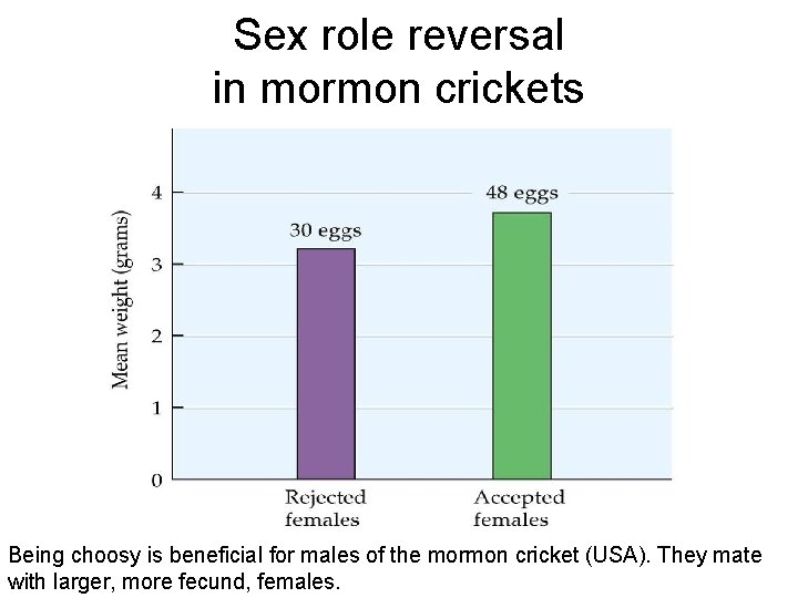Sex role reversal in mormon crickets Being choosy is beneficial for males of the