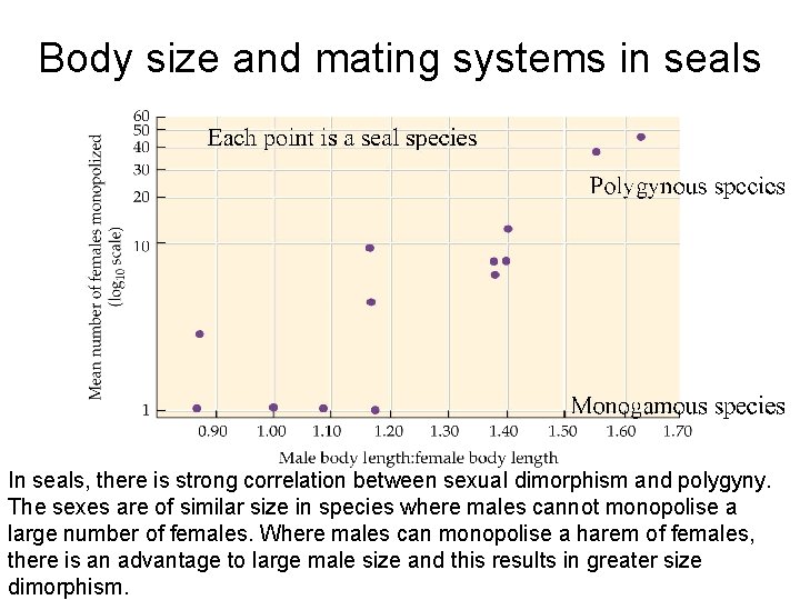 Body size and mating systems in seals In seals, there is strong correlation between