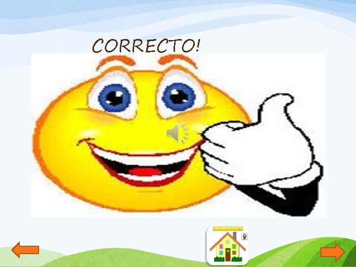CORRECTO! 