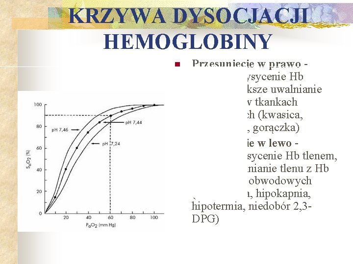 KRZYWA DYSOCJACJI HEMOGLOBINY n n Przesunięcie w prawo mniejsze wysycenie Hb tlenem, większe uwalnianie