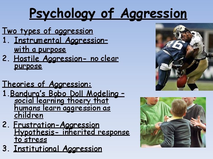 Psychology of Aggression Two types of aggression 1. Instrumental Aggression– with a purpose 2.