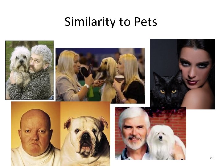 Similarity to Pets 49 