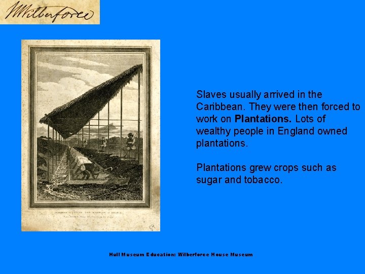 Slaves usually arrived in the Caribbean. They were then forced to work on Plantations.