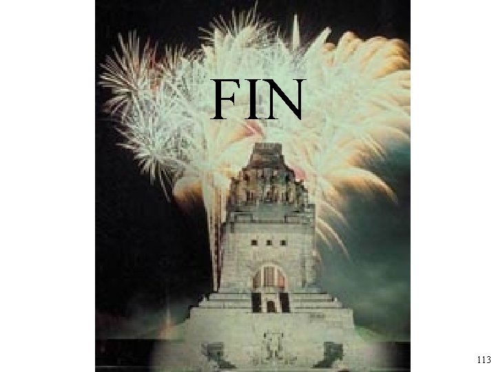 FIN 113 