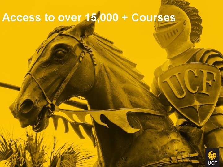 Access to over 15, 000 + Courses 