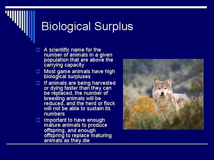 Population Numbers Population Dynamics o Short and Longterm