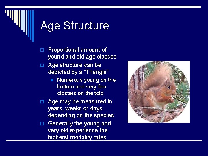 Age Structure o Proportional amount of yound and old age classes o Age structure