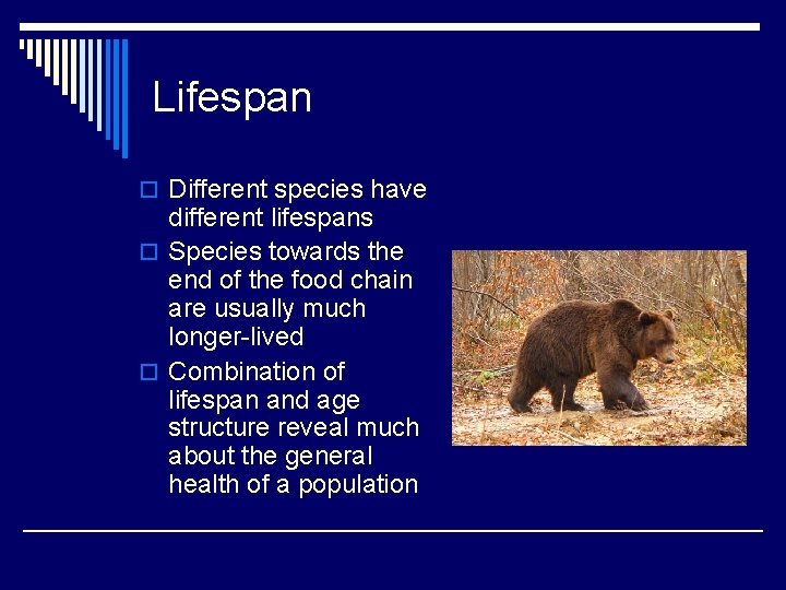 Lifespan o Different species have different lifespans o Species towards the end of the