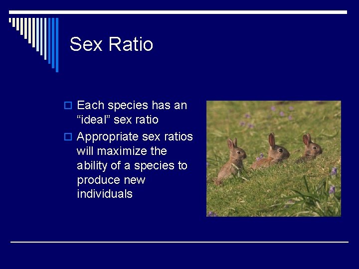 Sex Ratio o Each species has an “ideal” sex ratio o Appropriate sex ratios