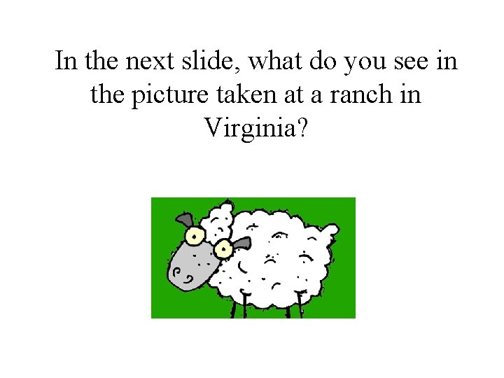 In the next slide, what do you see in the picture taken at a