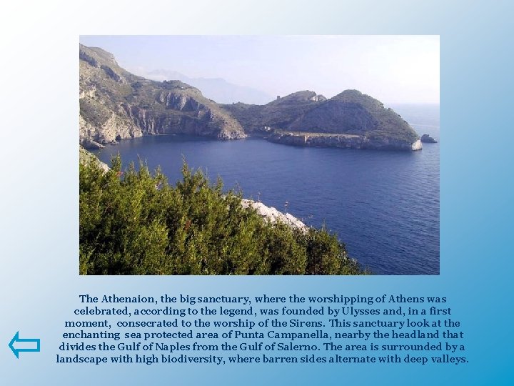 The Athenaion, the big sanctuary, where the worshipping of Athens was celebrated, according to