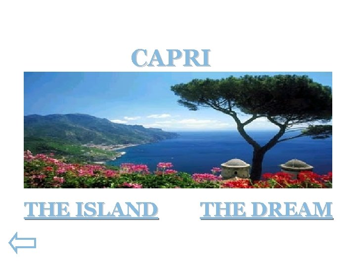 CAPRI THE ISLAND THE DREAM 