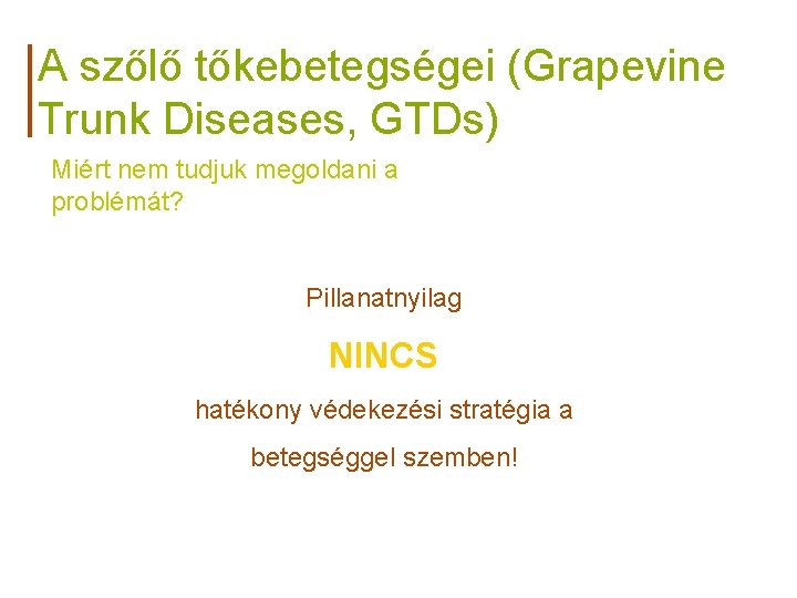 A szőlő tőkebetegségei (Grapevine Trunk Diseases, GTDs) Miért nem tudjuk megoldani a problémát? Pillanatnyilag